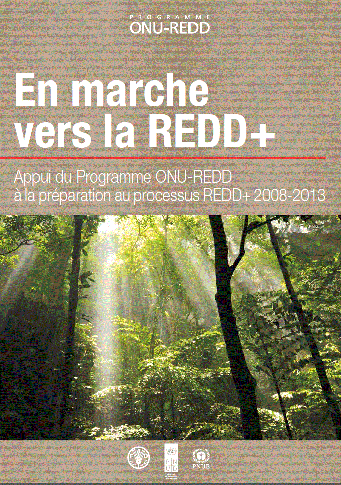 On the Road to REDD+: The UN-REDD Programme's Support to REDD+ Readiness 2008-2013